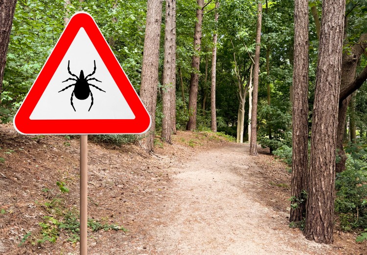 Señal de aviso por garrapatas en un sendero arbolado Señal de aviso por garrapatas en un sendero arbolado